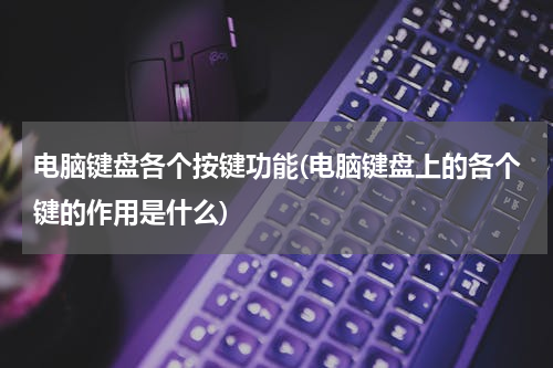 电脑键盘各个按键功能(电脑键盘上的各个键的作用是什么)