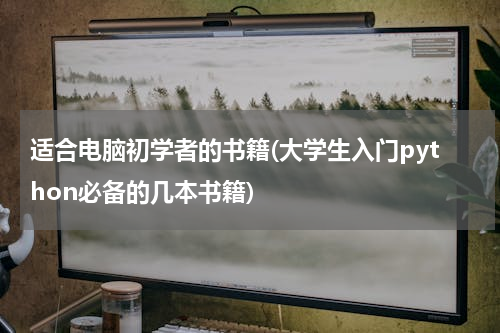 适合电脑初学者的书籍(大学生入门python必备的几本书籍)