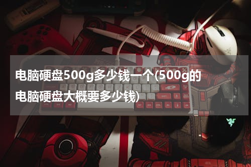 电脑硬盘500g多少钱一个(500g的电脑硬盘大概要多少钱)