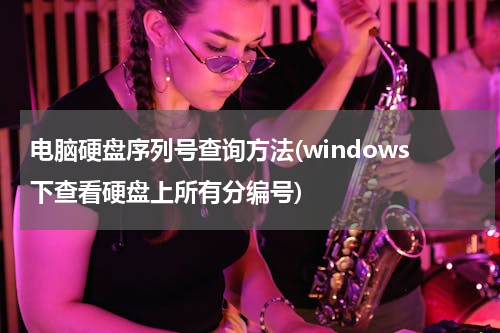 电脑硬盘序列号查询方法(windows下查看硬盘上所有分编号)