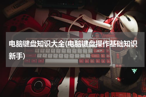 电脑键盘知识大全(电脑键盘操作基础知识新手)