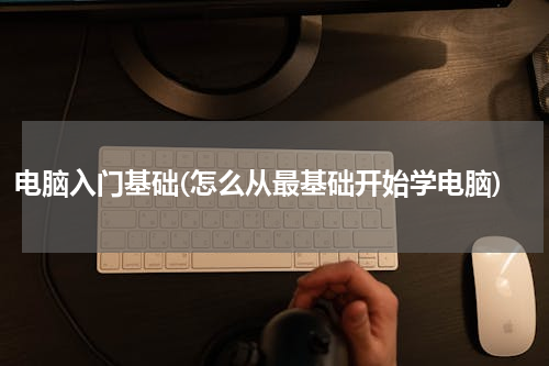 电脑入门基础(怎么从最基础开始学电脑)