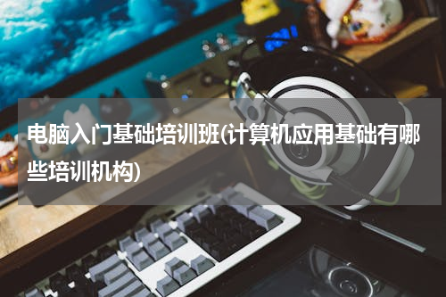 电脑入门基础培训班(计算机应用基础有哪些培训机构)
