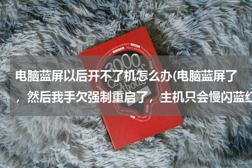 电脑蓝屏以后开不了机怎么办(电脑蓝屏了，然后我手欠强制重启了，主机只会慢闪蓝红灯，开不了机？)