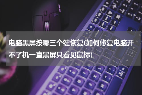 电脑黑屏按哪三个键恢复(如何修复电脑开不了机一直黑屏只看见鼠标)