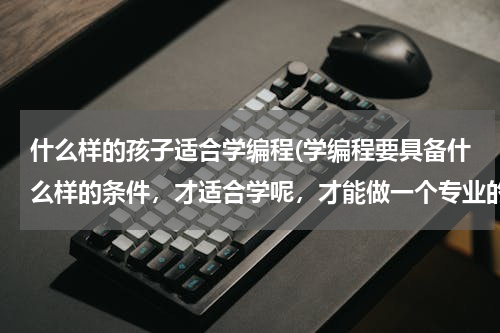 什么样的孩子适合学编程(学编程要具备什么样的条件，才适合学呢，才能做一个专业的程序员呢？)