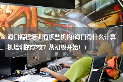 海口编程培训有哪些机构(海口有什么计算机培训的学校？从初级开始！)
