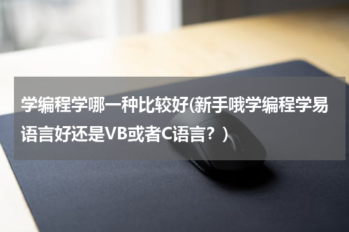 学编程学哪一种比较好(新手哦学编程学易语言好还是VB或者C语言？)