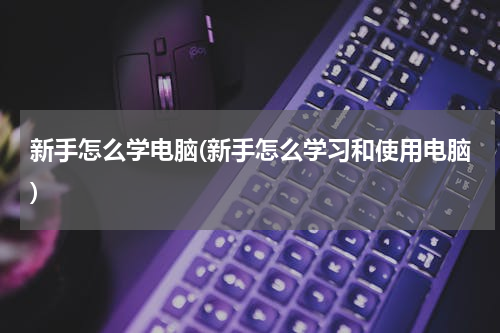 新手怎么学电脑(新手怎么学习和使用电脑)