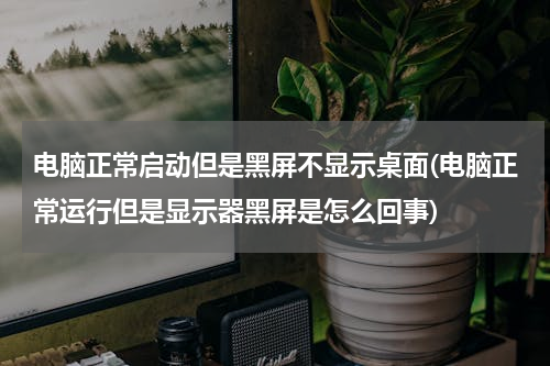 电脑正常启动但是黑屏不显示桌面(电脑正常运行但是显示器黑屏是怎么回事)