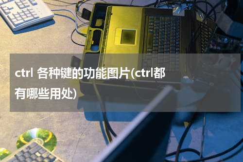 ctrl 各种键的功能图片(ctrl都有哪些用处)