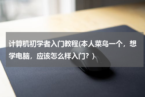 计算机初学者入门教程(本人菜鸟一个，想学电脑，应该怎么样入门？)
