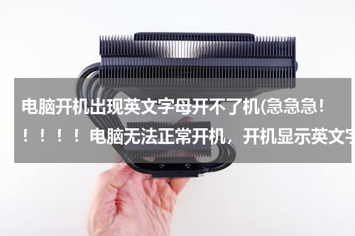 电脑开机出现英文字母开不了机(急急急！！！！！电脑无法正常开机，开机显示英文字母，什么意思？怎么解决？)