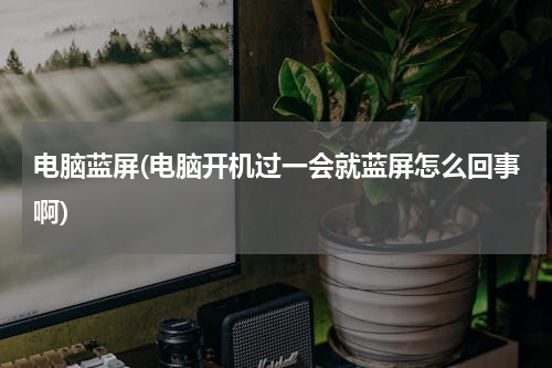 电脑蓝屏(电脑开机过一会就蓝屏怎么回事啊)