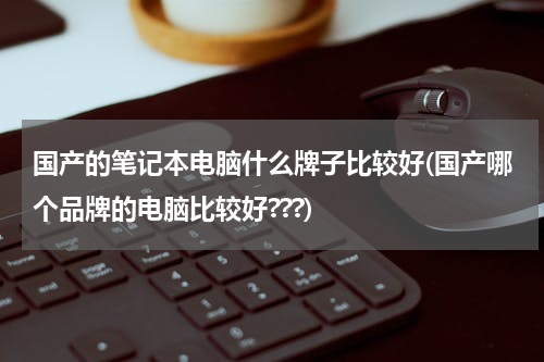 国产的笔记本电脑什么牌子比较好(国产哪个品牌的电脑比较好???)
