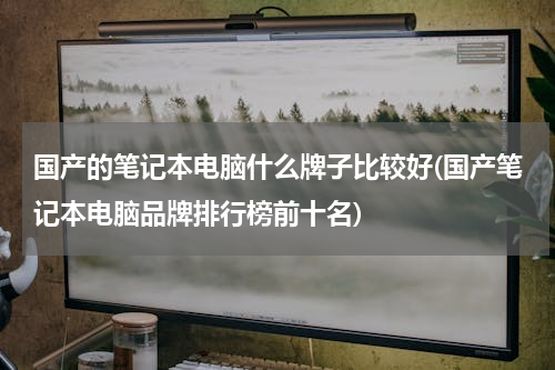国产的笔记本电脑什么牌子比较好(国产笔记本电脑品牌排行榜前十名)
