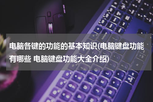 电脑各键的功能的基本知识(电脑键盘功能有哪些 电脑键盘功能大全介绍)
