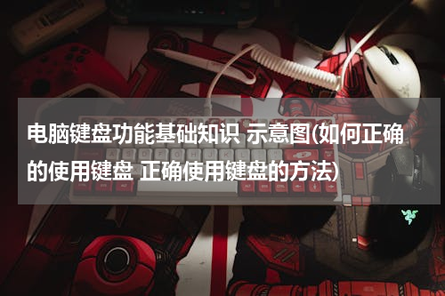 电脑键盘功能基础知识 示意图(如何正确的使用键盘 正确使用键盘的方法)